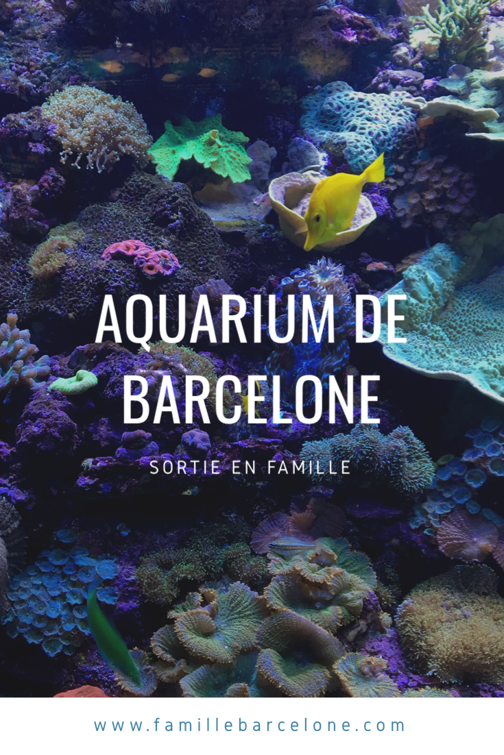 Aquarium de Barcelone 